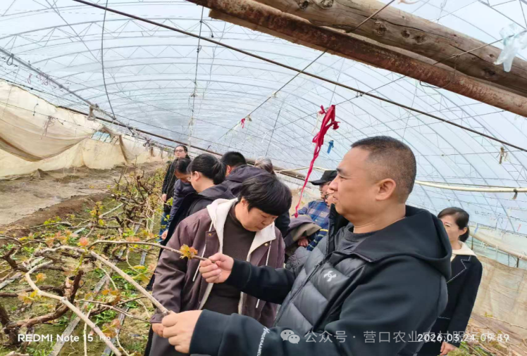 科技赋能乡村，服务走进田间