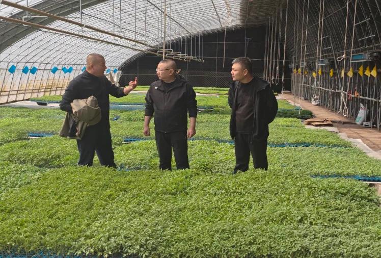 绷紧安全弦 守护春耕线——营口市农业农村局开展清明期间安全生产督导检查工作