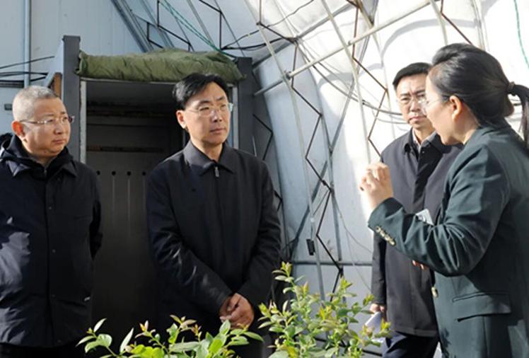 李军调研水稻秋收和秋粮稳产及2025年重点民生实事项目建设等工作