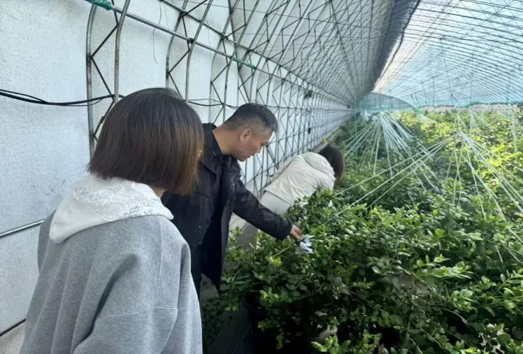 抓实春耕生产 全力护航二季度经济稳增长