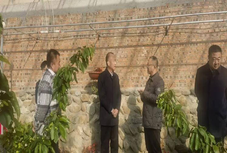 副市长王正刚到万福镇、矿洞沟镇调研